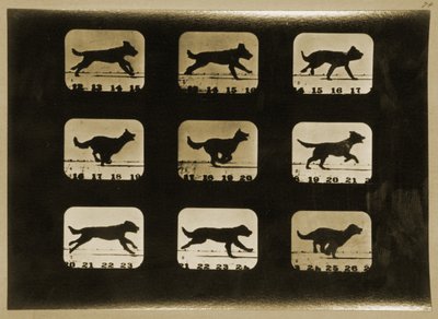 Dogs Running, from the 
